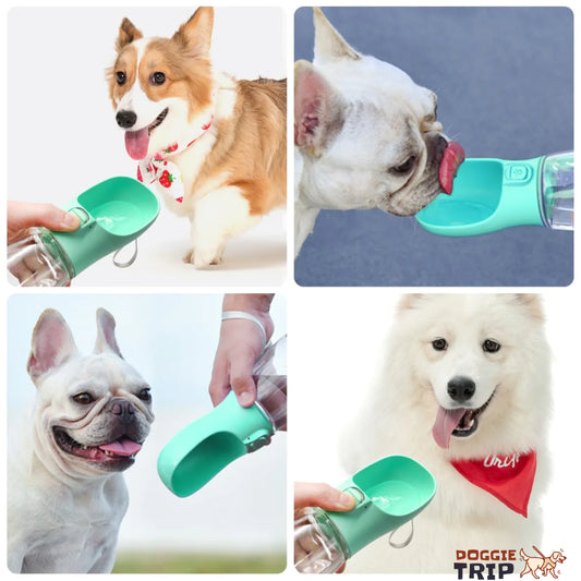 3 in 1 Dog Water Bottle - Feeder